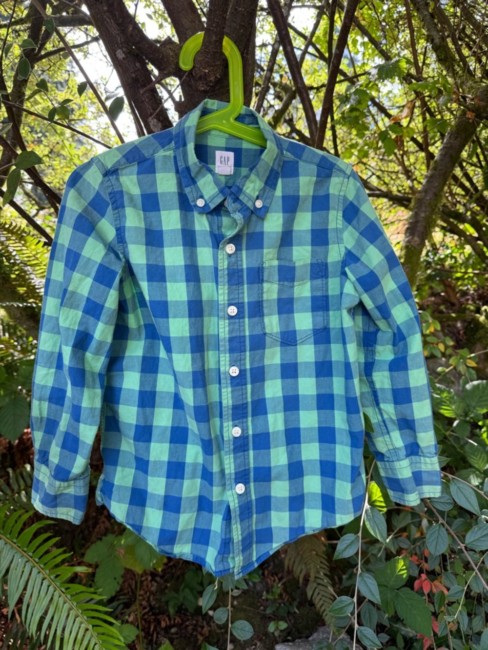 GAP Green and Blue Plaid Button-Down Shirt